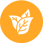 icon-testimonial-01