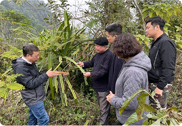thuc-dia-tai-phong-kham-va-cac-chuyen-di-rung-tham-ban