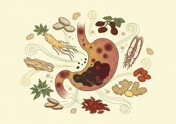 thumb-ung-thu-da-day