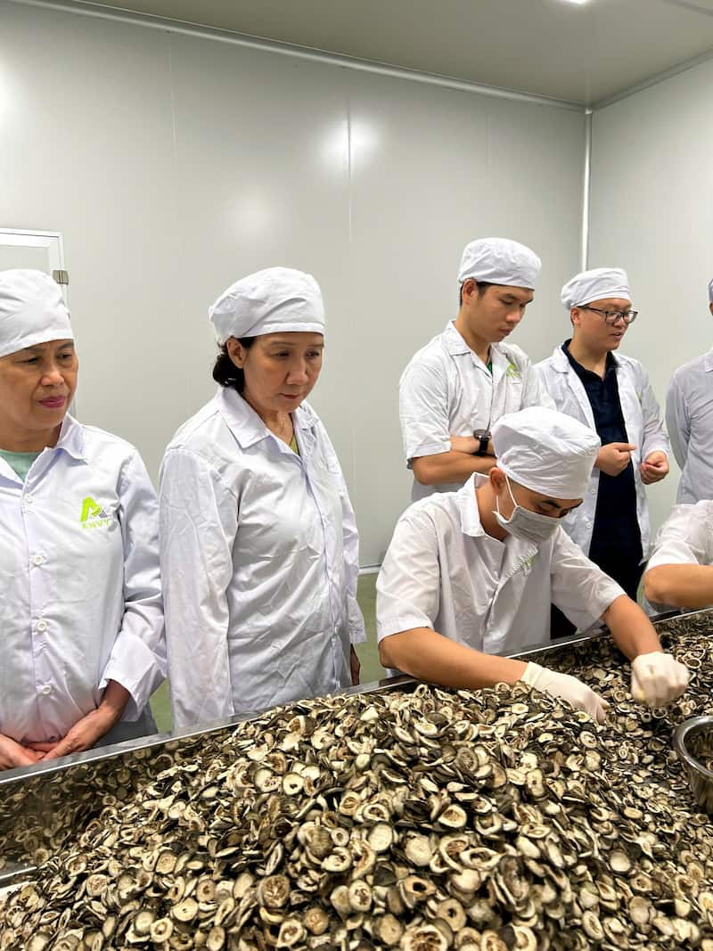 img-bs-tuyet-lan-anvy-2