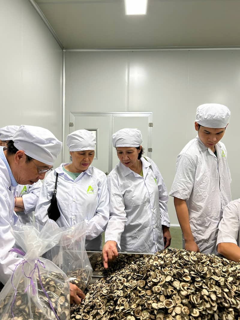 img-bs-tuyet-lan-anvy-4