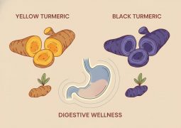 thumb-chua-benh-da-day-bang-nghe