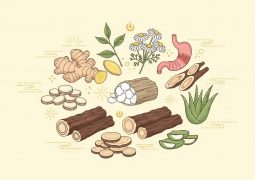 thumb-trao-nguoc-da-day-nen-an-gi