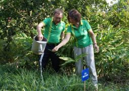 thuoc-dan-toc-to-chuc-trong-cay-thuoc-va-trao-tang-cay-giong-tai-ba-vi-nhan-ky-niem-15-nam-thanh-lap-4