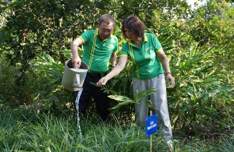 thuoc-dan-toc-to-chuc-trong-cay-thuoc-va-trao-tang-cay-giong-tai-ba-vi-nhan-ky-niem-15-nam-thanh-lap-4