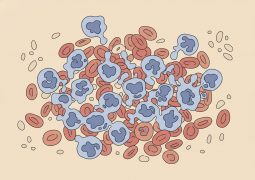 thumb-bach-cau-cap-dong-lympho