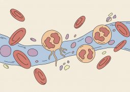 thumb-bach-cau-lympho-tang