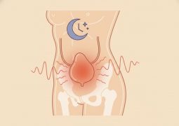 thumb-bang-quang-tang-hoat