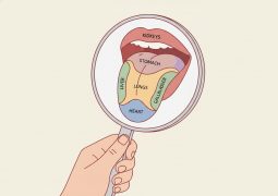 thumb.soi-luoi-theo-y-hoc-co-truyen