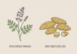 thumb-duoc-lieu-duyen-ho-sach_compressed