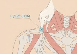 thumb-huyet-dao-cu-cot-li15_compressed