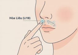 thumb-huyet-dao-hoa-lieu-li18_compressed