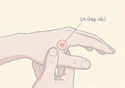 thumb-huyet-dao-hop-coc-li4_compressed