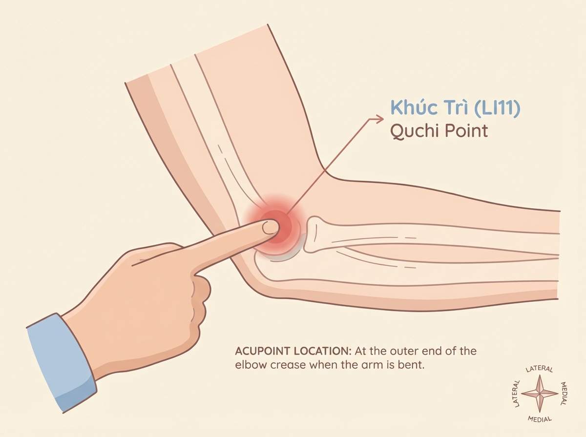 thumb-huyet-dao-khuc-tri-li10_compressed