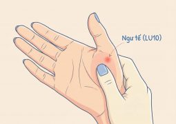thumb-huyet-dao-ngu-te-lu10_compressed