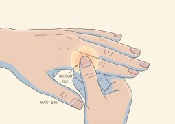 thumb-huyet-dao-nhi-gian-li2_compressed