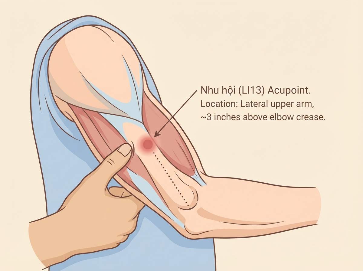 thumb-huyet-dao-nhu-hoi-li13_compressed