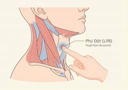 thumb-huyet-dao-phu-dot-li17_compressed