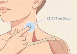 thumb-huyet-dao-thien-dinh-li16_compressed