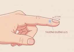thumb-huyet-dao-thuong-duong-li1_compressed