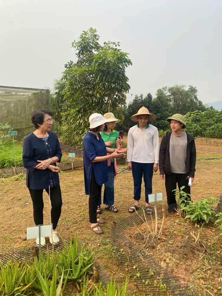 Tôi cùng bác sĩ Nguyễn Thị Nhuần và đội ngũ Thuốc dân tộc đang có mặt tại vườn dược liệu thuộc hệ thống Bông Sen Vàng