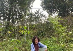 Bác sĩ Tuyết Lan trực tiếp tham gia khảo sát vùng trồng dược liệu tại Hà Giang