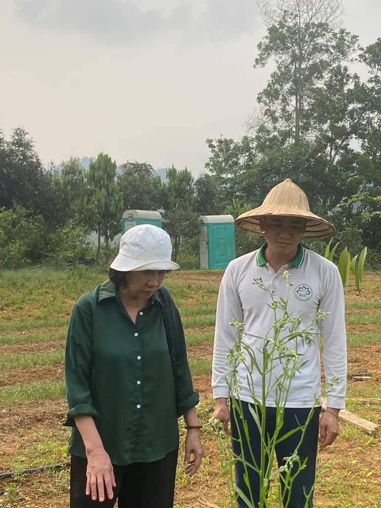 Khí hậu, thổ nhưỡng tại Hà Giang phù hợp để trồng rất nhiều cây thuốc quý