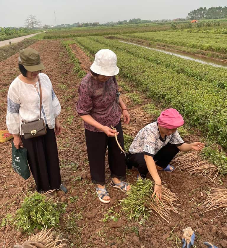 Tôi cùng Thạc sĩ, Bác sĩ Đỗ Thanh Hà trực tiếp khảo sát các vùng trồng, xem người dân thu hái dược liệu Tôi cùng Thạc sĩ, Bác sĩ Đỗ Thanh Hà trực tiếp khảo sát các vùng trồng, xem người dân thu hái dược liệu